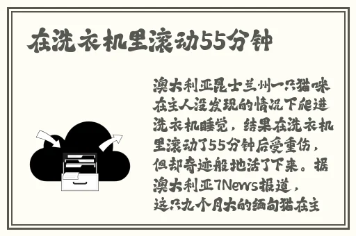 桃红色aj界入口